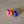 ScanNCut 3 x Quill threaded adapter