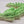 Dragon Key Ring Fidget