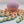 Octopus Fidget