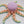 Octopus Fidget