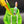 Hoodie Style Can Or Trinket Holder