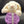 Puffer Jacket Style Can Or Trinket Holder