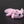 Small Axolotl