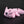 Small Axolotl