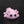 Small Axolotl
