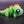 Mini Dinosaur