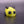 Small Bumblebee