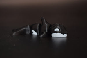 Small Orca