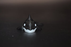 Small Orca
