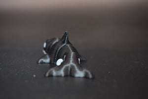 Small Orca
