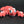Small Lobster