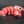 Small Lobster