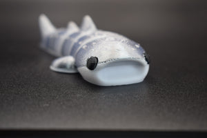 Small Whale Shark