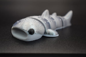 Small Whale Shark