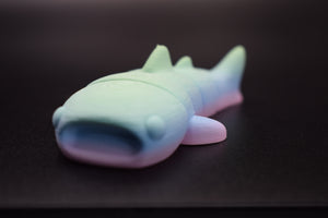 Small Whale Shark