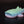 Small Whale Shark