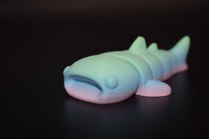 Small Whale Shark