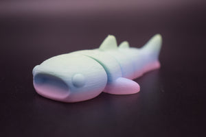 Small Whale Shark