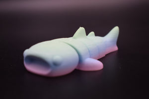 Small Whale Shark