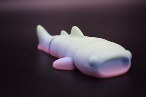 Small Whale Shark