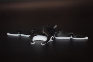 Small Manta