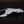 Small Manta