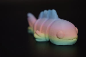 Small Fish