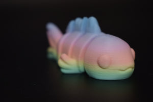Small Fish