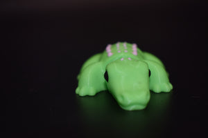 Small Alligator