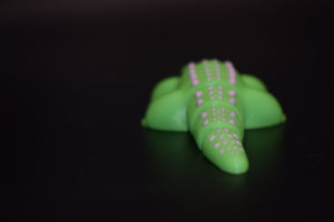 Small Alligator