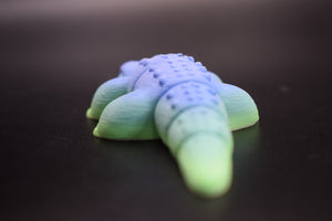 Small Alligator