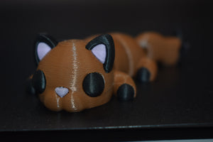 Small Cat