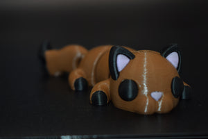Small Cat