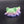 Small Cat