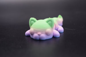 Small Cat