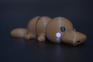 Small Platypus