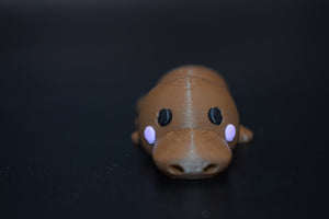 Small Platypus