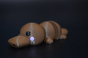 Small Platypus