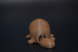 Small Platypus