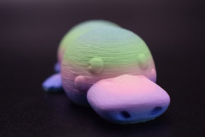 Small Platypus