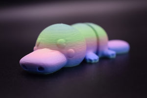 Small Platypus
