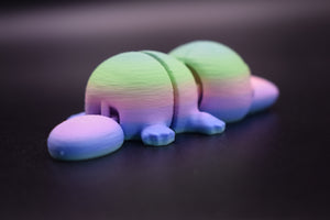 Small Platypus