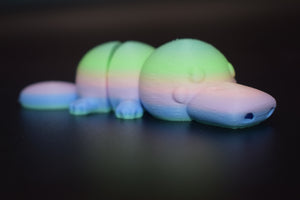 Small Platypus