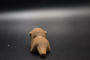 Small Otter