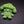 Small Brocoli