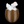 Peaky Bunny Easter Egg Container