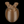 Peaky Bunny Easter Egg Container