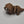 Small Otter