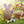 Sweet Sprinkle Easter Egg Container