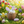 Peaky Bunny Easter Egg Container